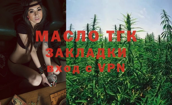 прущие грибы Медвежьегорск