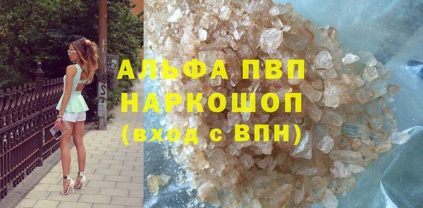 прущие грибы Медвежьегорск