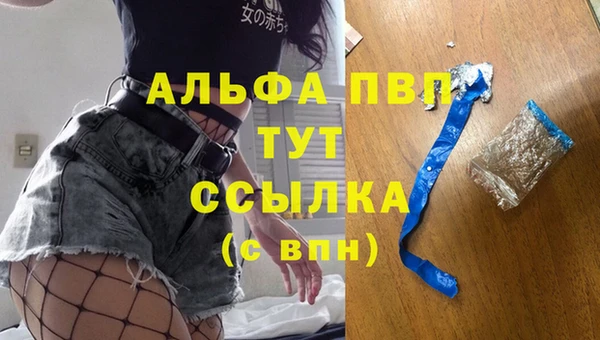 прущие грибы Медвежьегорск