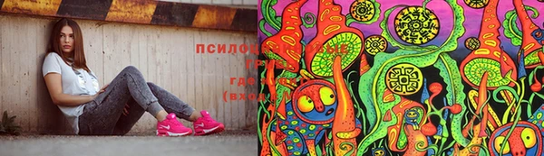 стаф Мегион