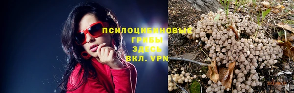 альфа пвп Магас