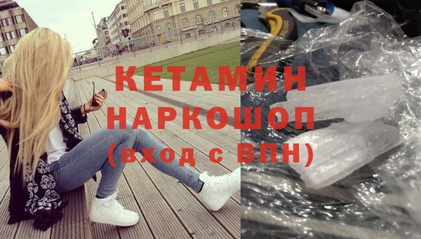 прущие грибы Медвежьегорск