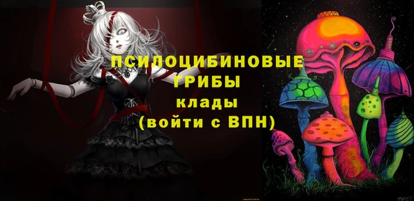 прущие грибы Медвежьегорск