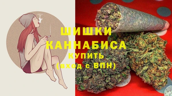 apvp Магадан