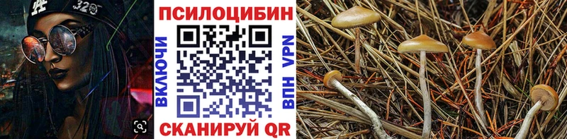 Псилоцибиновые грибы ЛСД  Карабулак 