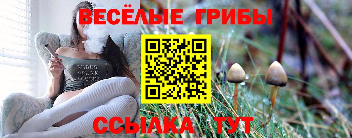 Псилоцибиновые грибы ЛСД Карабулак