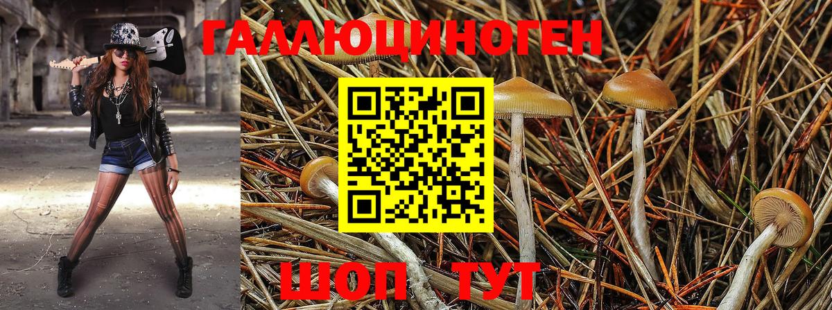 Карабулак  Галлюциногенные грибы GOLDEN TEACHER  Псилоцибиновые грибы Cubensis  Вход с VPN 
